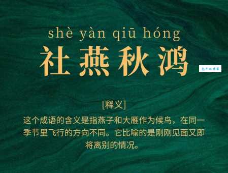 社燕秋鸿是什么意思？简单解释社燕秋鸿的含义和用法