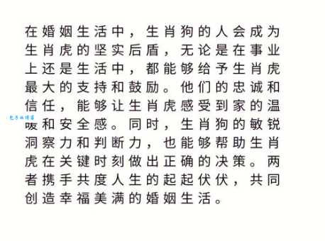 狼霸天下代表什么生肖？虎还是其他生肖？