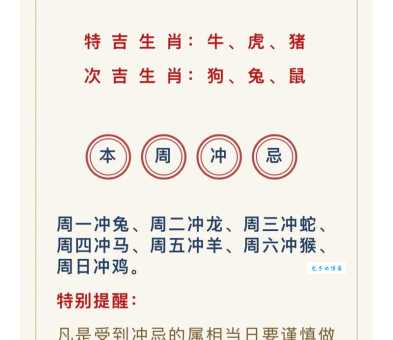 一杯更进将军酒是哪个生肖？详解生肖谜语