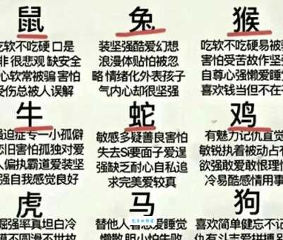 遮风挡雨对应哪个生肖？解读生肖性格与象征