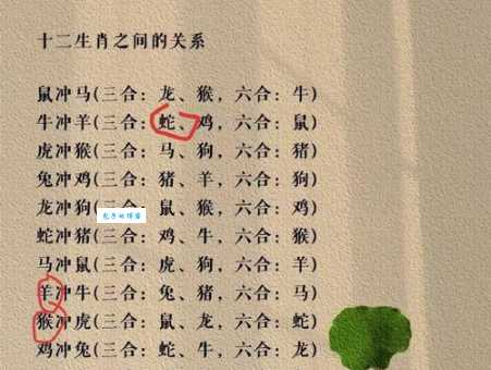 石榴生木开特大代表哪个生肖？解析生肖寓言背后的深刻含义