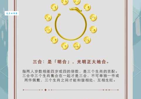 十二生肖中谁智珠在握？详解智珠在握的生肖含义