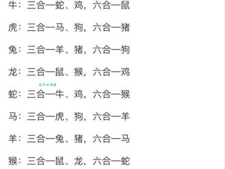 围魏救赵对应什么生肖？快来一起探索生肖奥秘！