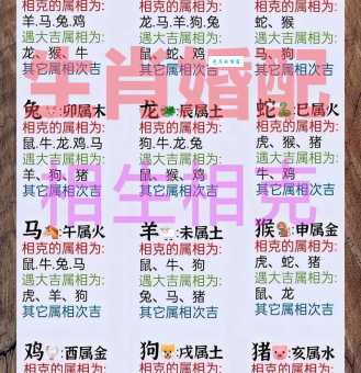 荆钗布裙与十二生肖哪个最匹配？答案就在这里！