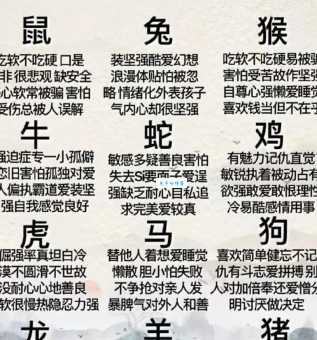天时人和代表什么生肖？揭秘背后的文化含义