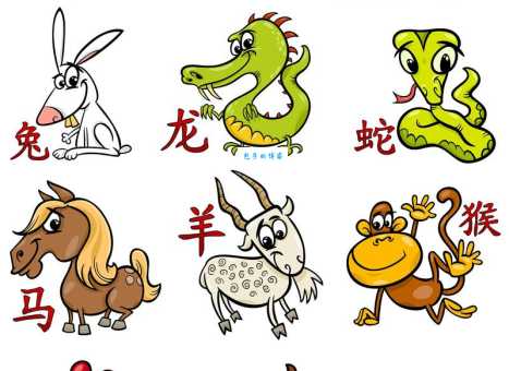 忠心不二指的是什么生肖？文化传说与现实观察的差异