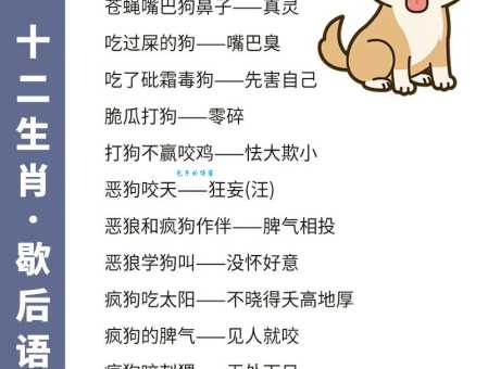 什么生肖最符合沸反盈天？成语与生肖的趣味解读