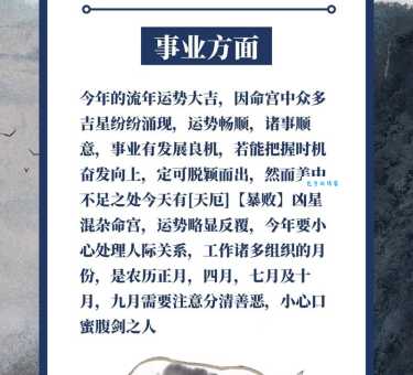 猪头军师代表什么生肖？揭秘生肖猪的独特魅力