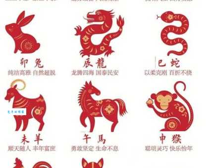 想知道光明磊落指什么生肖吗？这里有答案！