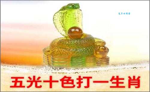 五光十色打一生肖最佳答案是什么？