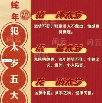 细大不逾打一生肖，究竟是哪个？专家权威解读