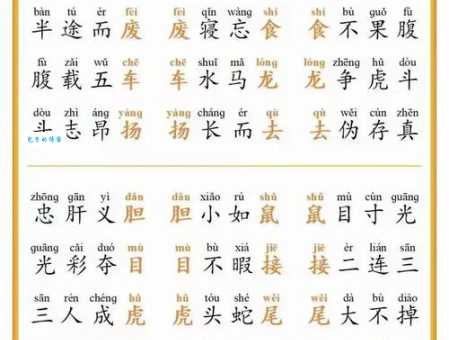 引领群雄是什么意思？带你了解这个成语的含义