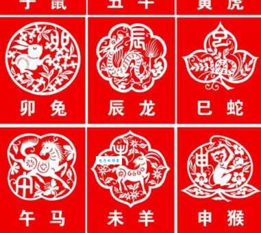 青黄沟木对应哪个生肖？一文带你彻底明白！