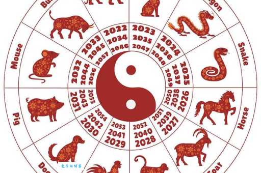 想知道美如天仙指的是哪个生肖吗？答案就在这里