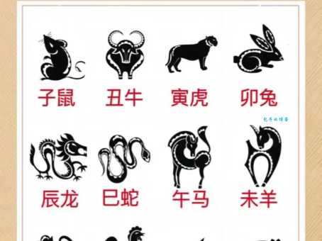 想知道美如天仙指的是哪个生肖吗？答案就在这里