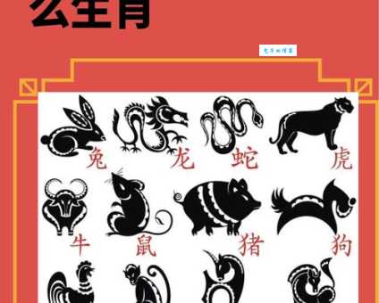 百度热搜：甲冠天下指的是什么生肖？多种说法大比拼