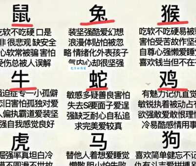 鼠目寸光是什么生肖？详解十二生肖中谁最短视