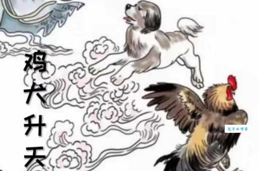 详解鸡犬升天：到底对应哪一个生肖？