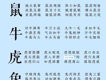 解读成语“目迷五色”，对应哪个生肖？