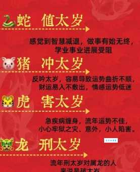 解密龙蟠虎踞对应哪个生肖？看完秒懂