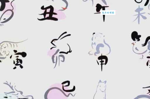 十二生肖愁肠九回是哪一个？深度解析生肖与愁绪