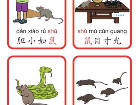 根深蒂固的生肖是哪一个？揭秘生肖与成语的联系