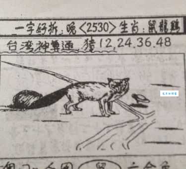 揭秘：跳梁小丑打一生肖，你猜对了吗？