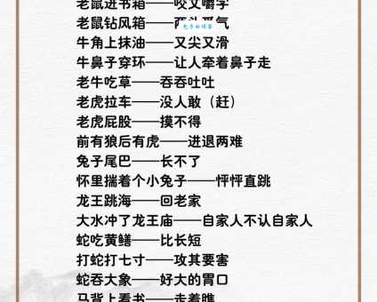 一劳永逸是哪个生肖？揭秘生肖与“一劳永逸”的关系