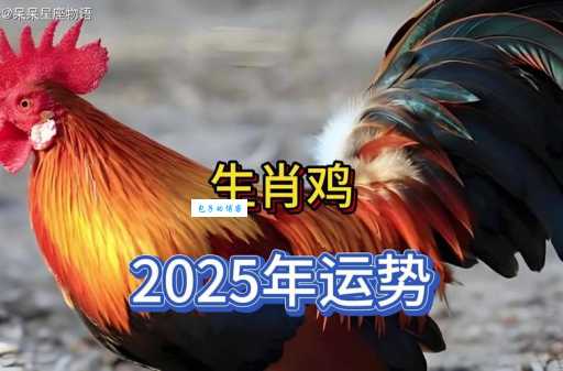 龟鹤之年是什么生肖？这几个生肖最长寿