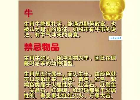 好衣美食代表什么生肖？带你了解生肖与富足生活的联系