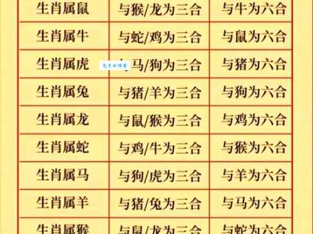二三其意猜生肖：最准确的答案是什么？