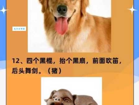 不毛之地谜语：十二生肖中哪个最符合？