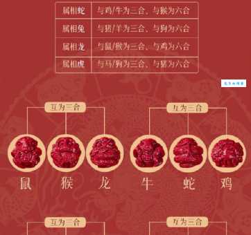 作案犯科的生肖到底是哪个？看完你就明白了