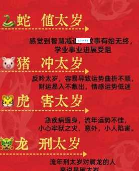 虎口夺食指的是哪些生肖？揭秘生肖中的“冒险家”