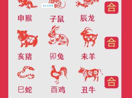 捉贼见赃是什么生肖？这几个生肖最符合！