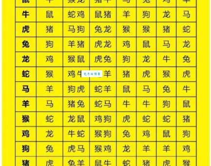勾心斗角是什么生肖？揭秘十二生肖中的“心机”高手