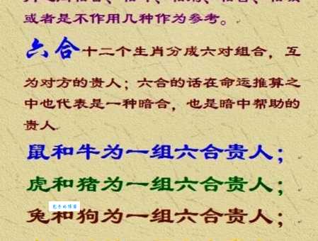 三姑六婆指的是什么生肖？详解三姑六婆与十二生肖的关联