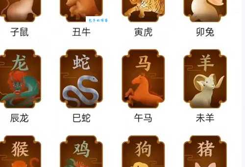 十二生肖中哪些生肖最容易遭遇八难三灾？