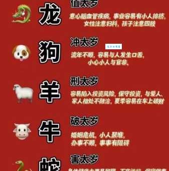 勇闯险途指的是什么生肖？民间说法大揭秘！