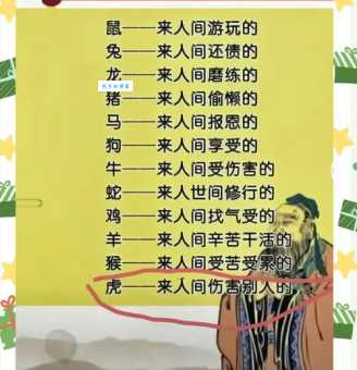 春满人间是哪几个生肖？揭秘生肖与春天的关联