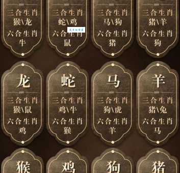 “八九不离十”的生肖是哪个？揭晓答案！