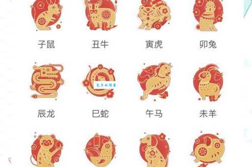 不值一谈指的是什么生肖？揭秘背后文化含义