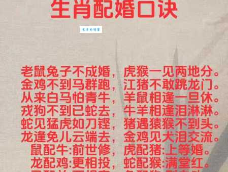 成群结伙打一生肖，是龙还是羊？答案就在这里