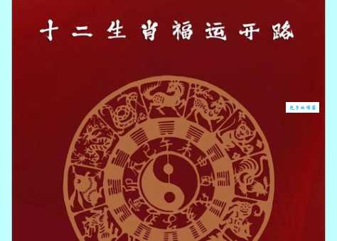 “头头是道”指什么生肖？民间说法大揭秘