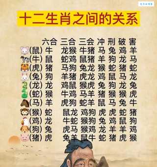 千秋霸业是哪个生肖的象征？深度解析生肖属性