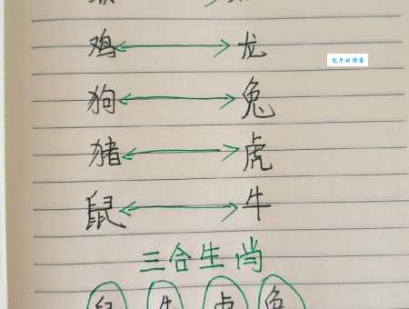 解读妙想天开：它在十二生肖中对应哪个动物？
