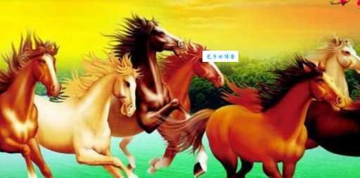 解密水光接天：它在十二生肖中代表什么动物？