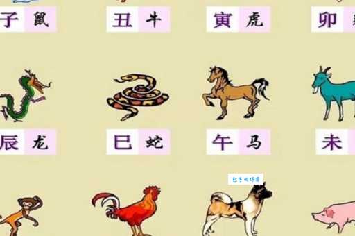 飞天遁地是哪个生肖的专属技能？揭秘生肖背后的秘密