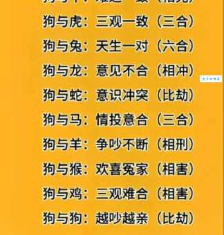 邑犬群吠：十二生肖中它究竟代表谁？