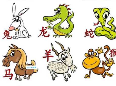 正儿八经打一生肖，答案是什么动物？